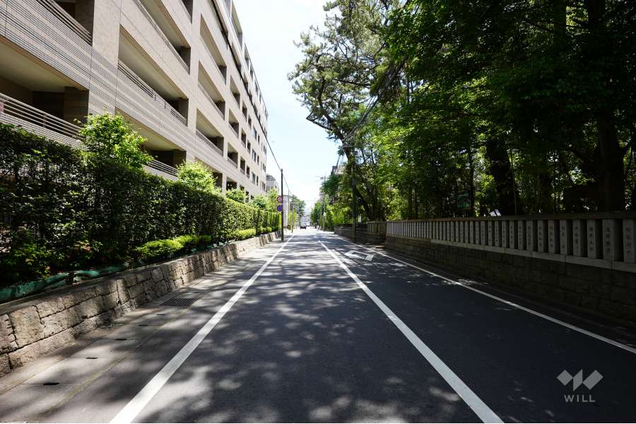 敷地西側の前面道路。道を挟んで熊野神社があります。