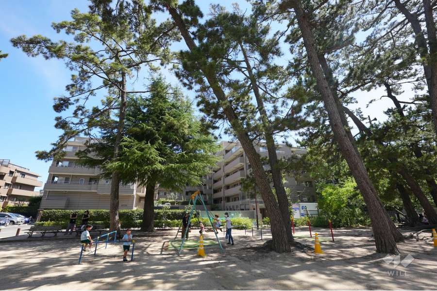 敷地北側の公園から見たステイツグラン甲子園口松並町