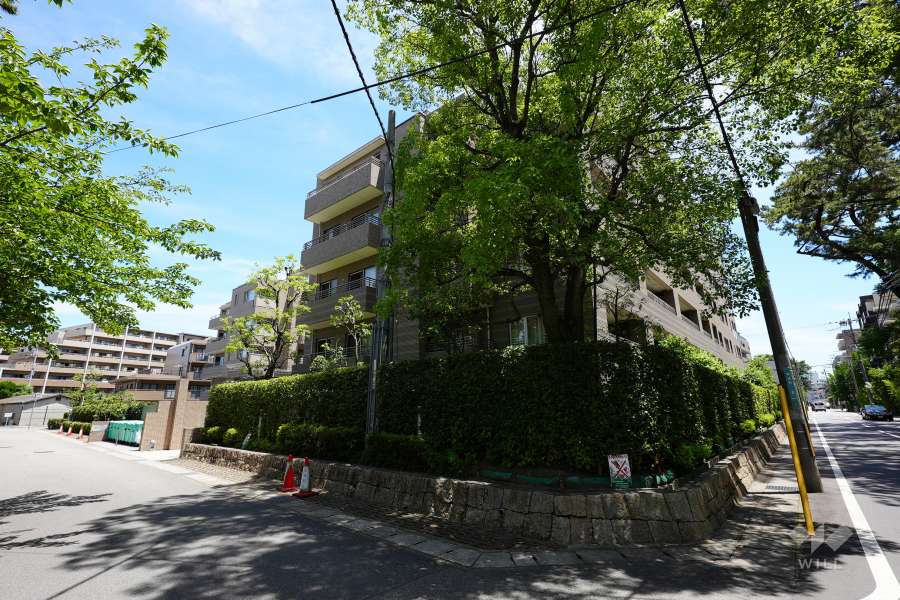 ステイツグラン甲子園口松並町の外観(北西側から)
