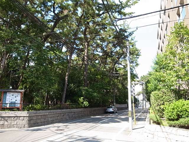 敷地西側の前面道路。道を挟んで熊野神社があります。