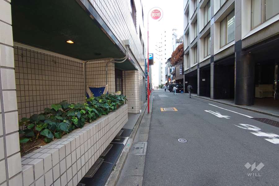 敷地北西側の前面道路（北東側から）