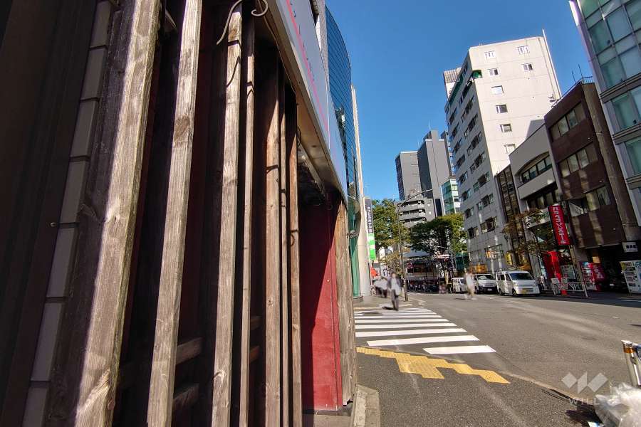 敷地北東側の前面道路（南東側から）