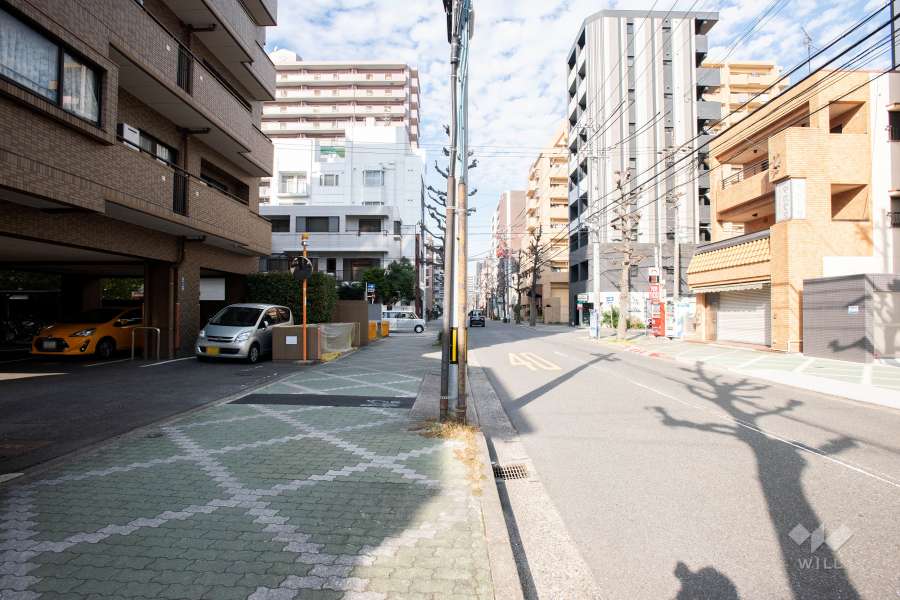敷地西側の前面道路（南側から）