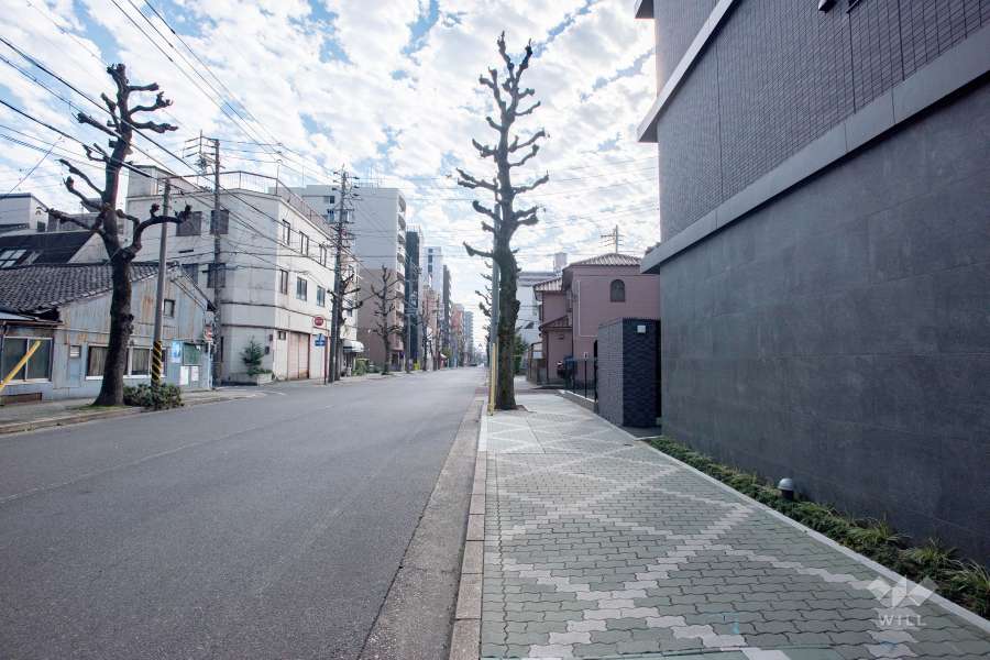 敷地東側の前面道路（北側から）