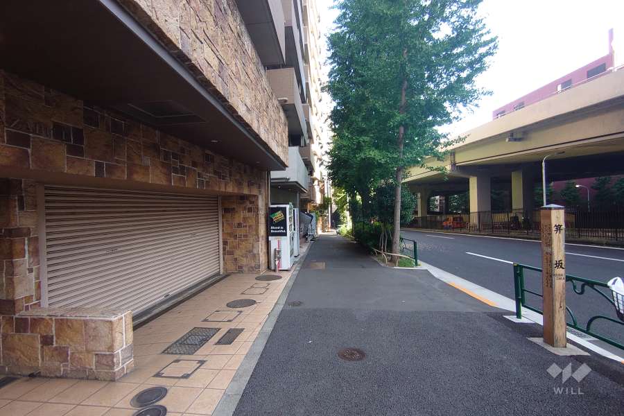 敷地南側の前面道路（西側から）