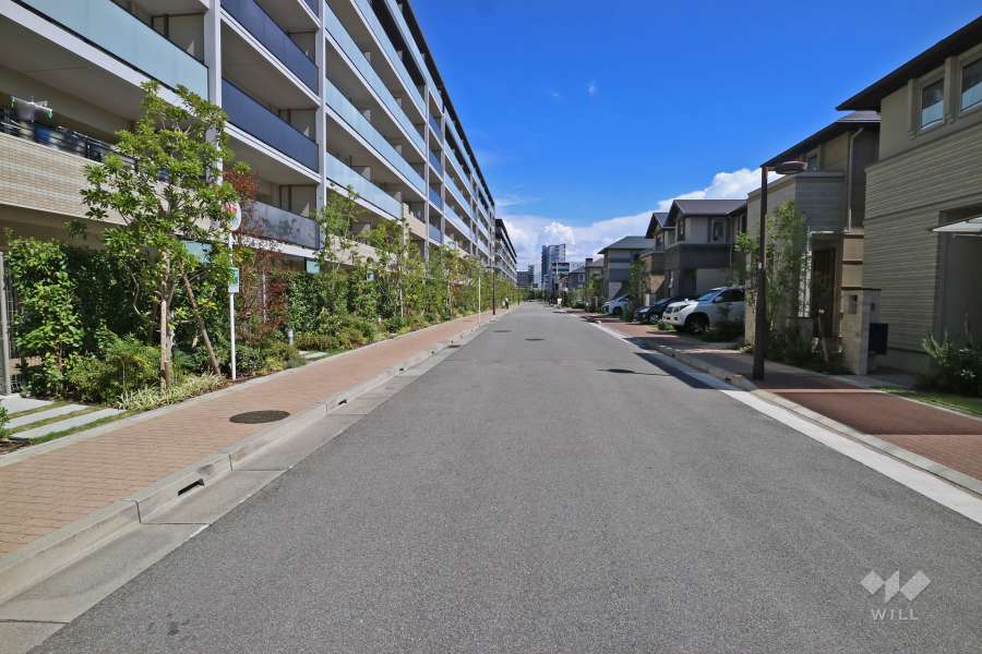 敷地南西側の前面道路（西側から）