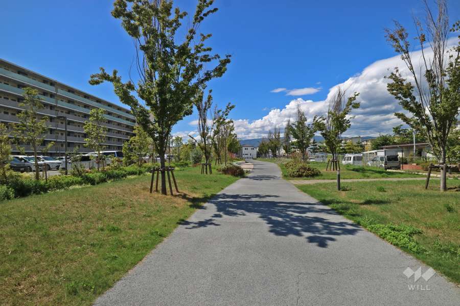 敷地北側の遊歩道