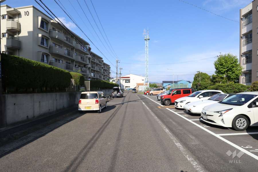敷地北側の前面道路（西側から）