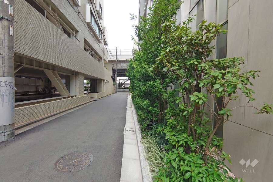 敷地西側の前面道路（南側から）