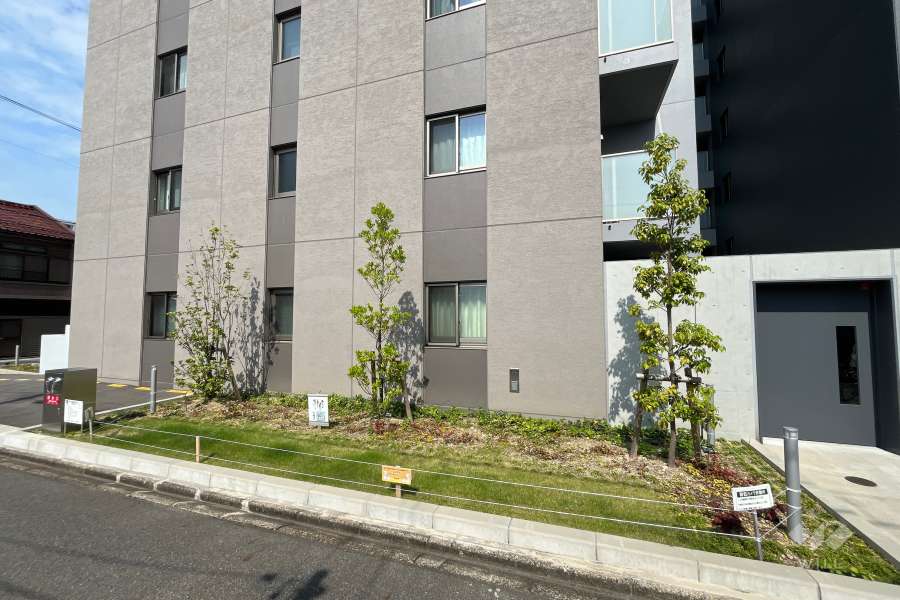 敷地内に植栽が設けられています。