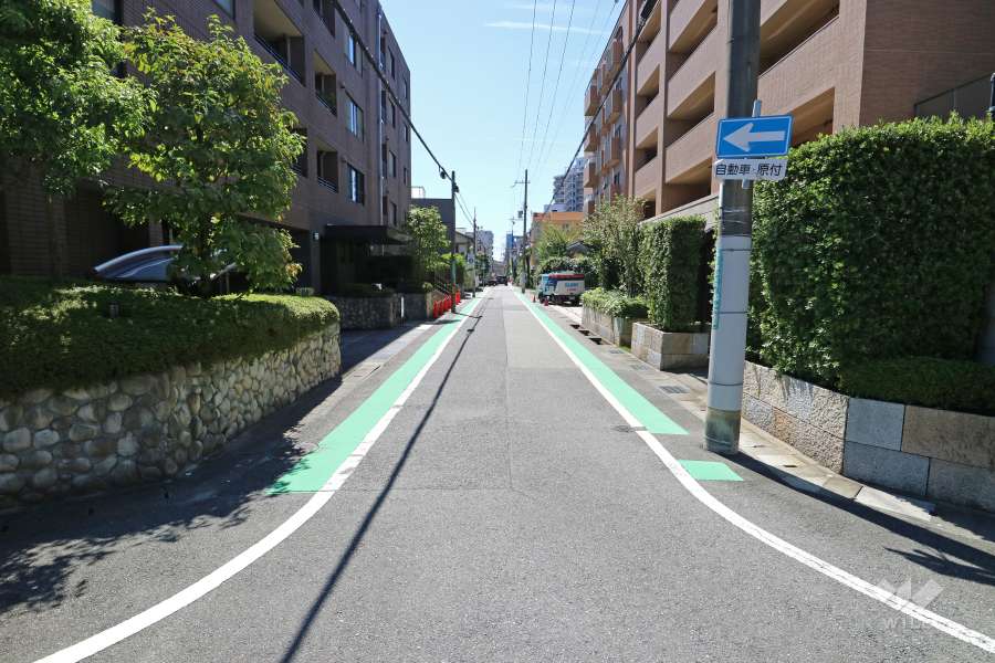 敷地西側の前面道路（北側から）