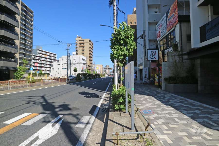 敷地北側の前面道路（西側から）