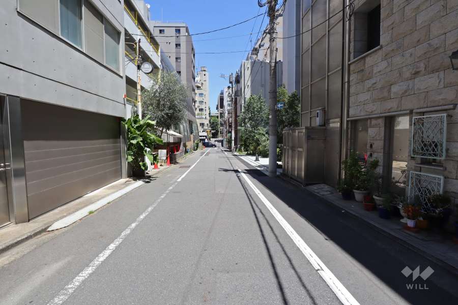 敷地北西側の前面道路（南西側から）