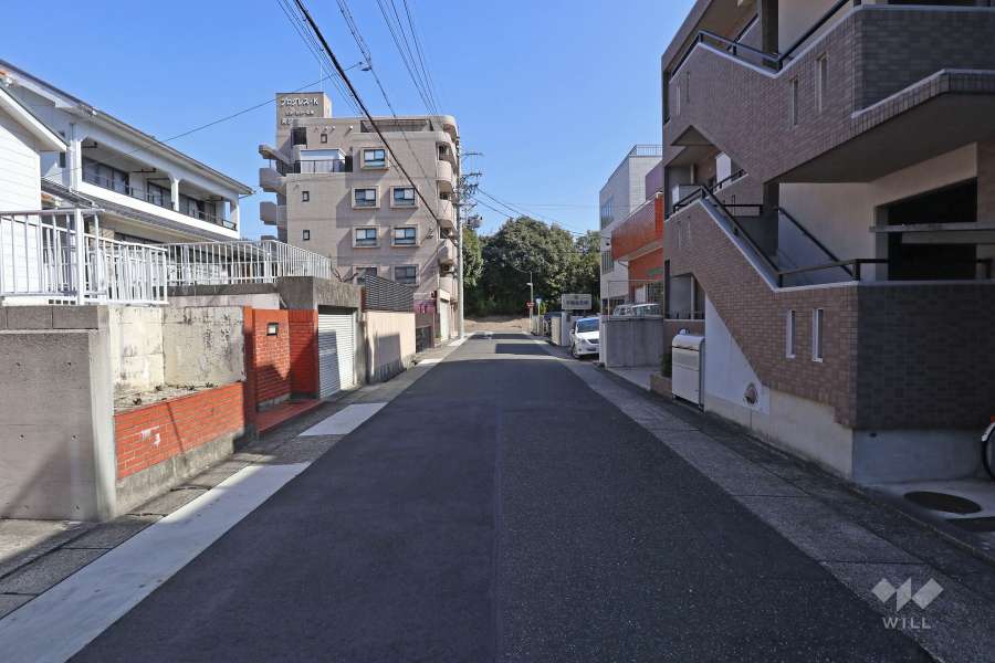 敷地北側の前面道路（西側から）