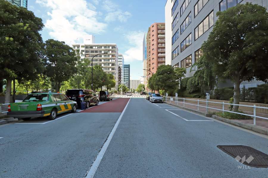 敷地北側の前面道路(南側から)