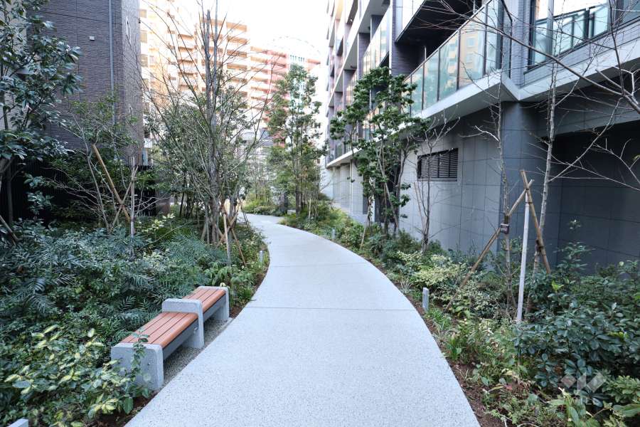 敷地内にある遊歩道