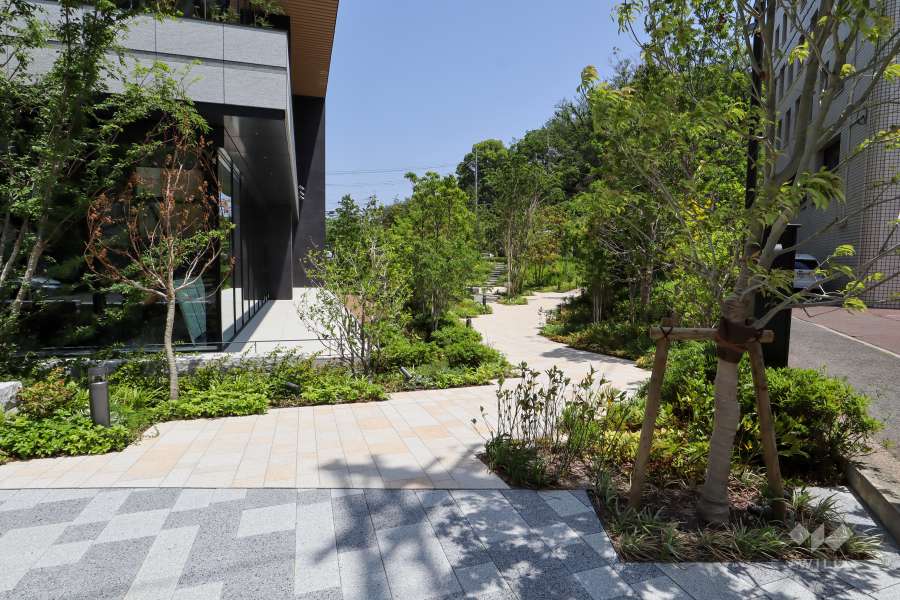 敷地内南側にある広場（西側から）