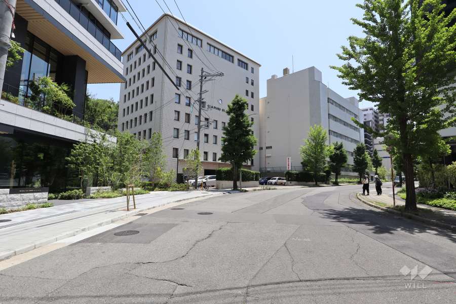 敷地西側の前面道路（北側から）