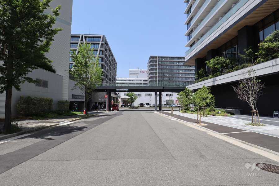 敷地西側の前面道路（南側から）