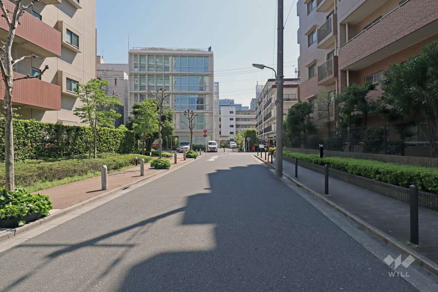 敷地の東側道路（北側から）