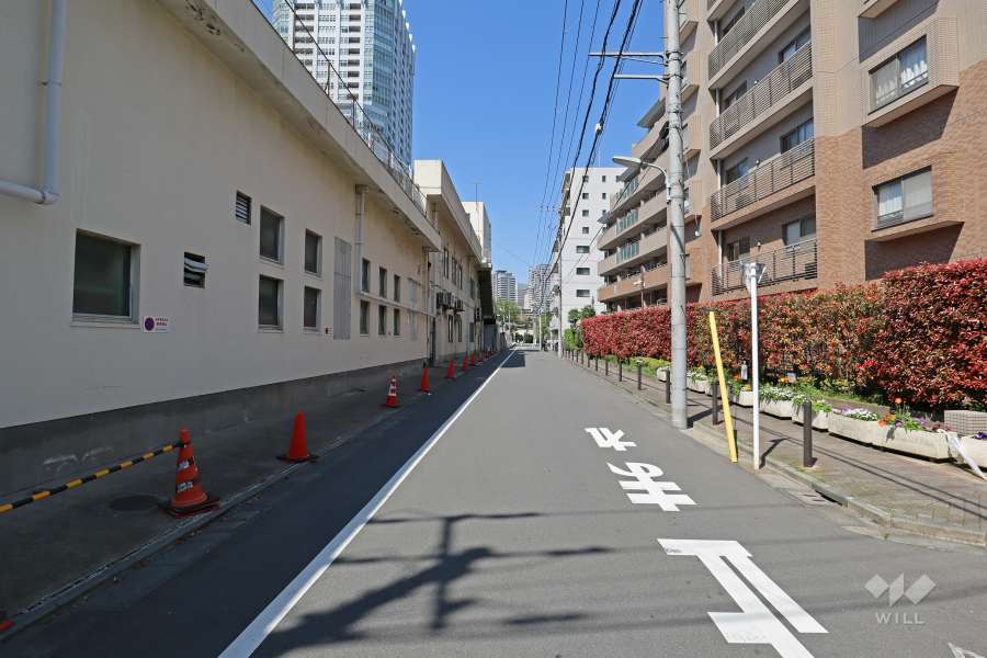 敷地の西側道路（南側から）