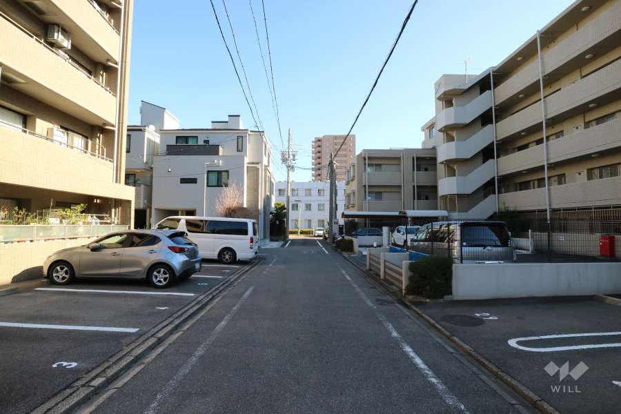 敷地南側の前面道路（西側から）