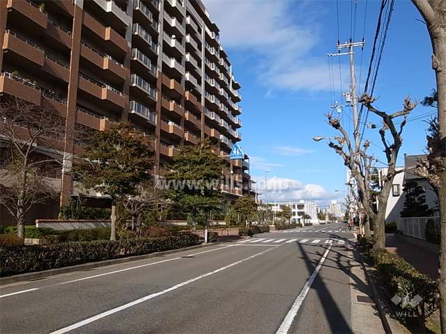 前面道路は街路樹のきれいな通り。周辺は区画の整った住宅地。目の前にバス停があります。