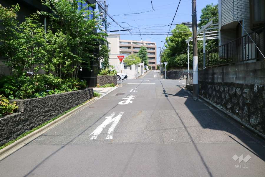 敷地東側の前面道路（南側から）