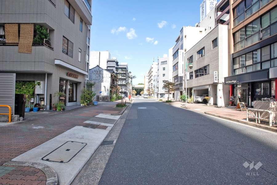 敷地の東側前面道路（南側から）