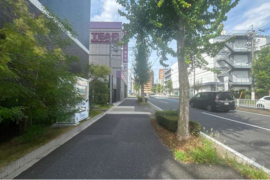 敷地南東側の前面道路(南西側から)