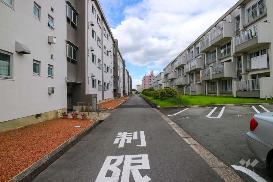 敷地南側の前面道路（東側から）