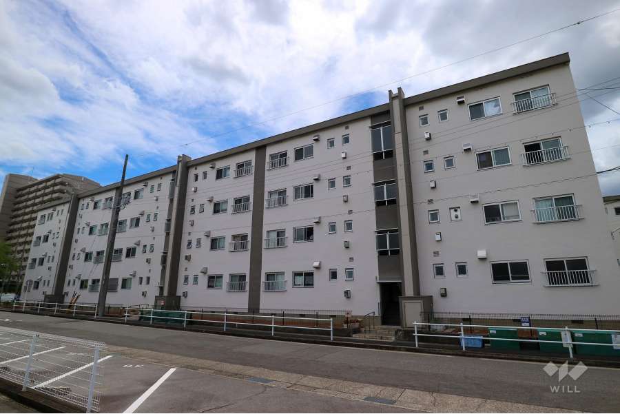 天白第一住宅10号棟の外観（北西側から）