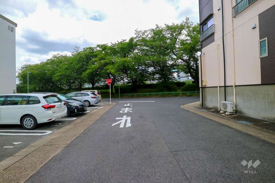 敷地東側の前面道路（南側から）