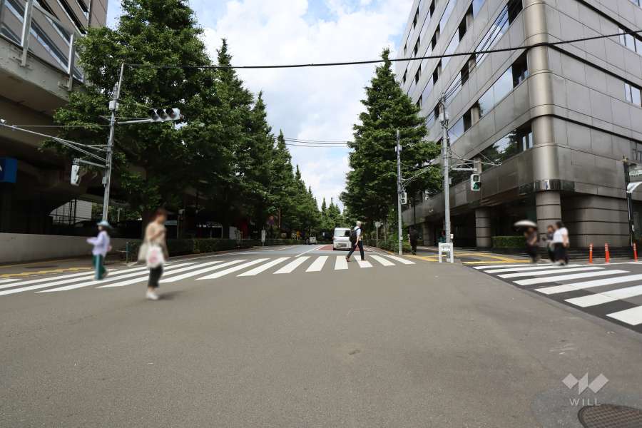 敷地北西側の前面道路（南西側から）