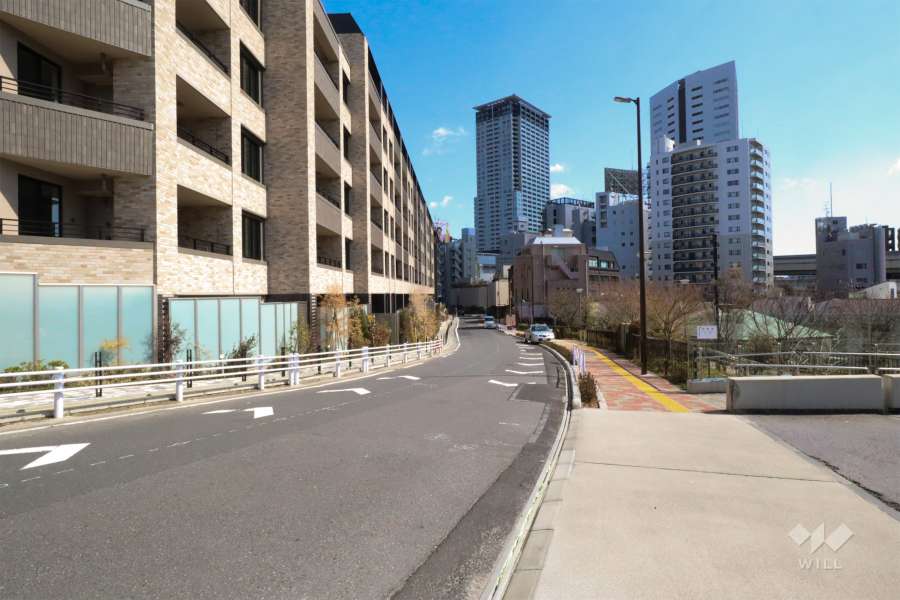 敷地南側の前面道路(西側から)