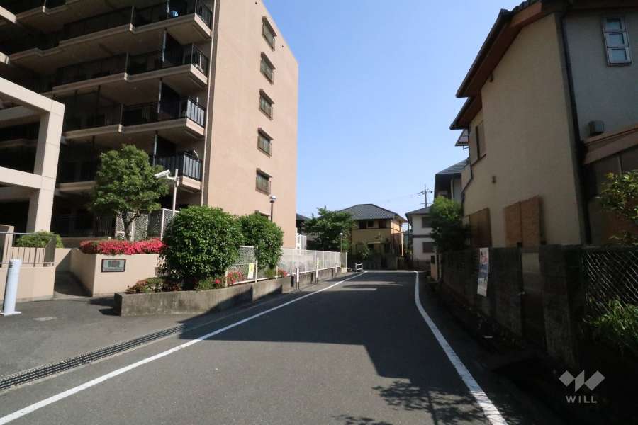 敷地東側の前面道路