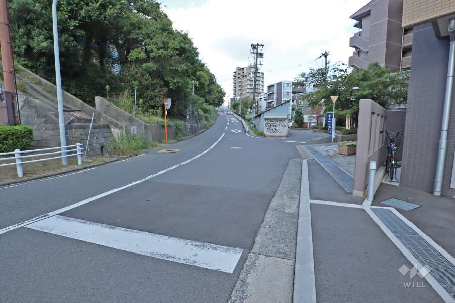 敷地北側の前面道路（西側から）