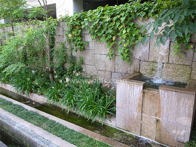エントランス横の流水のある植栽スペース