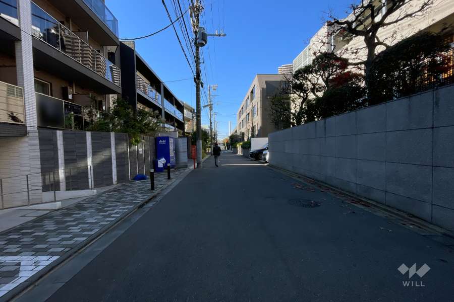 敷地の南側前面道路（西側から）