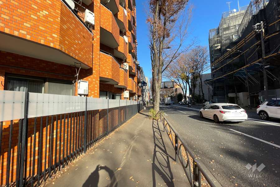 敷地南東側の前面道路（南西側から）