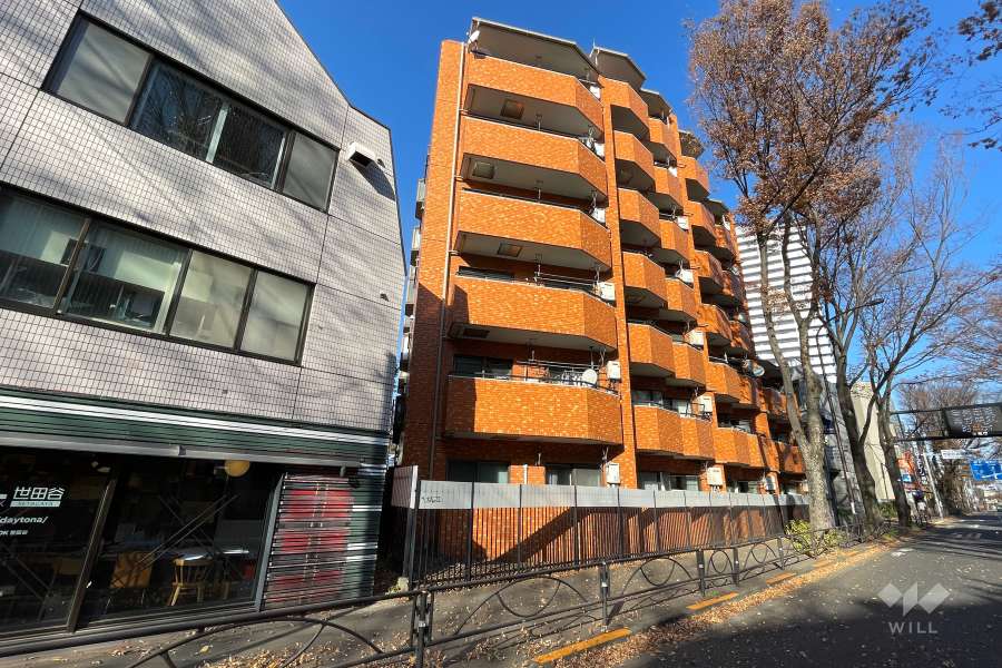 ニックハイム千歳烏山の外観（南西側から）