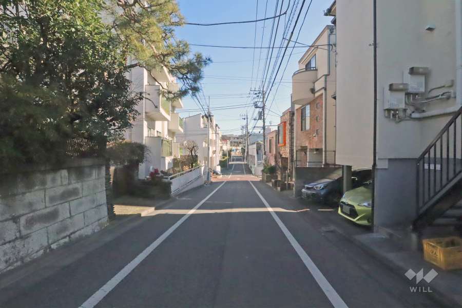 敷地の南側道路（西側から）