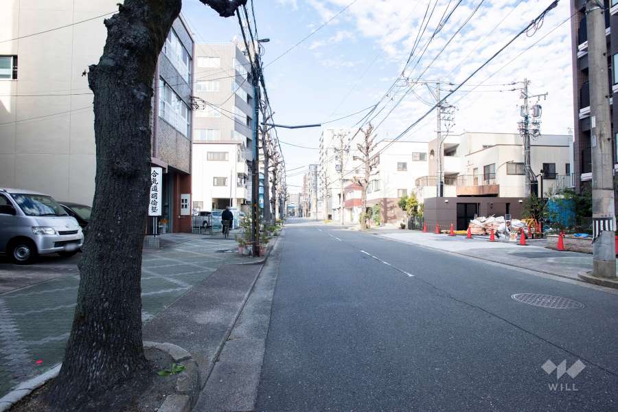 敷地西側の前面道路（南側から）