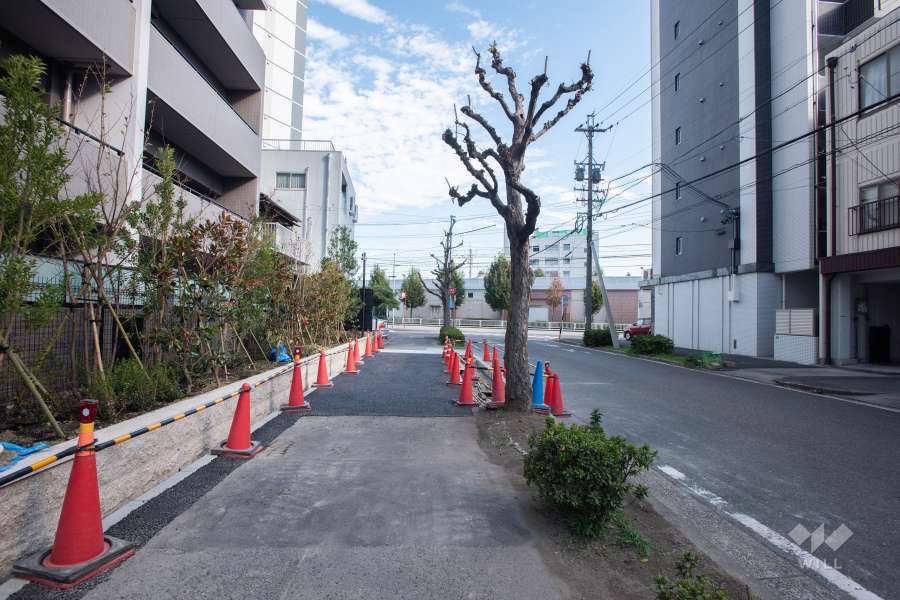敷地南側の前面道路（西側から）