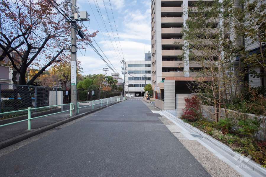 敷地西側の前面道路（南側から）