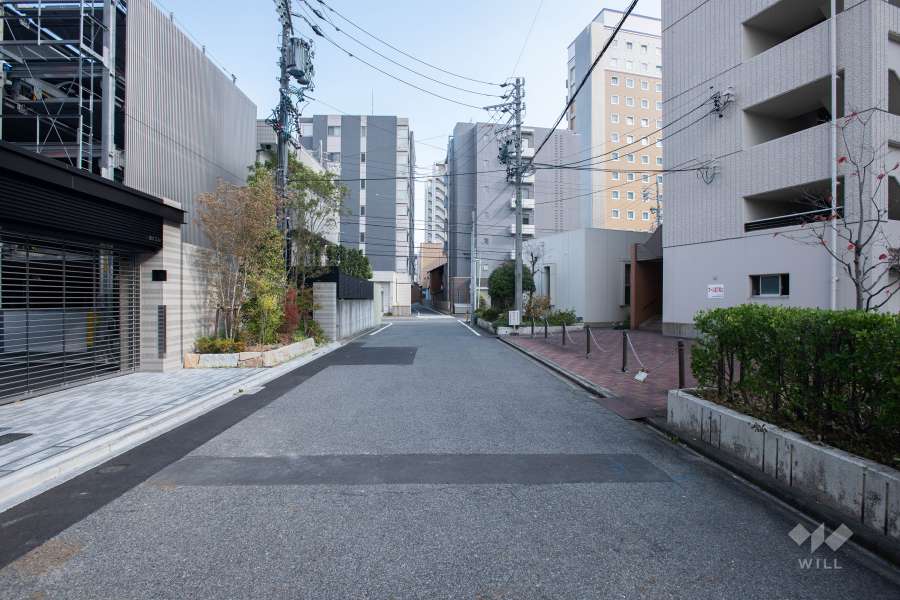 敷地南側の前面道路（西側から）