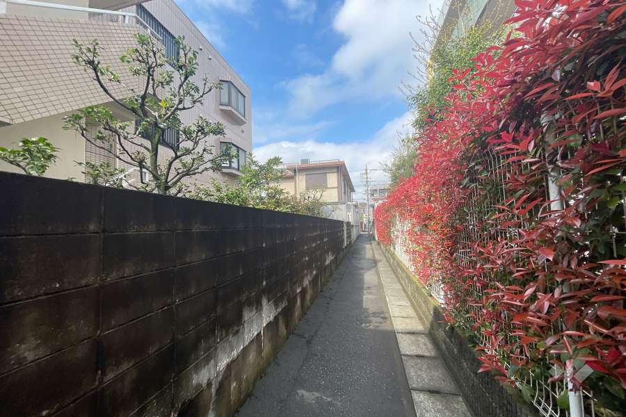 敷地北側の前面道路