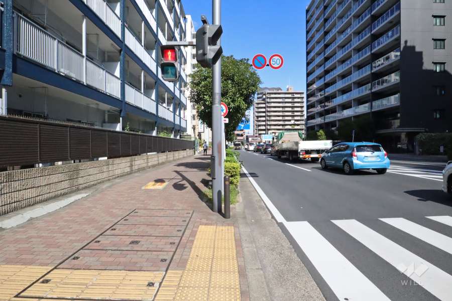 敷地東側の前面道路