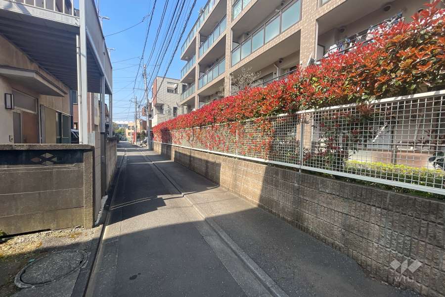 敷地南側の前面道路
