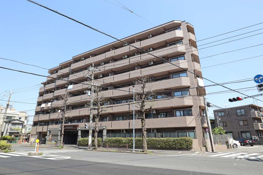 ライオンズマンション平間の外観（南側から）